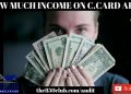 What Income Do You Put On A Credit Card Application? American Express,Capital One,MyFico,Cashback
