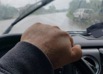 Corona Virus Effect on Auto Loan Repo & Late Payments