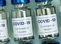 COVID-19 Vaccines and What Small Business Can Expect From Them