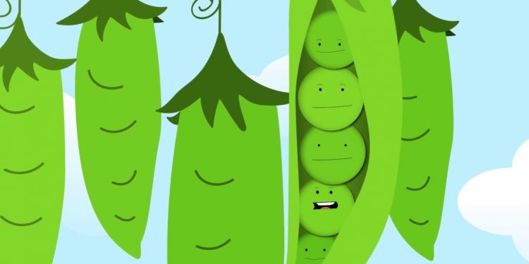 Home Loans are Easy Peasy with Nutter!