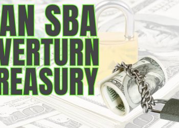 Can Your EIDL be REMOVED from US Treasury Collections