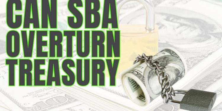 Can Your EIDL be REMOVED from US Treasury Collections