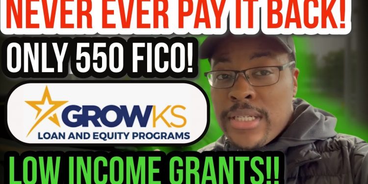 New LOW INCOME Stimulus Grant and Loan Approved w/ 550 FICO!