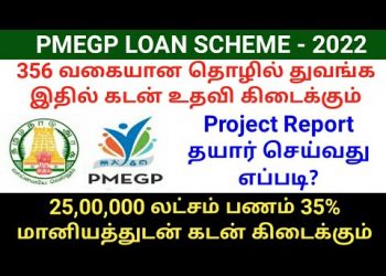 PMEGP Loan Scheme Eligible Business 2022 | PMEGP loan project report | PMEGP loan apply online
