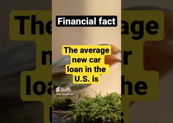 US CAR LOANS?? Financial facts #generalknowledge #shorts