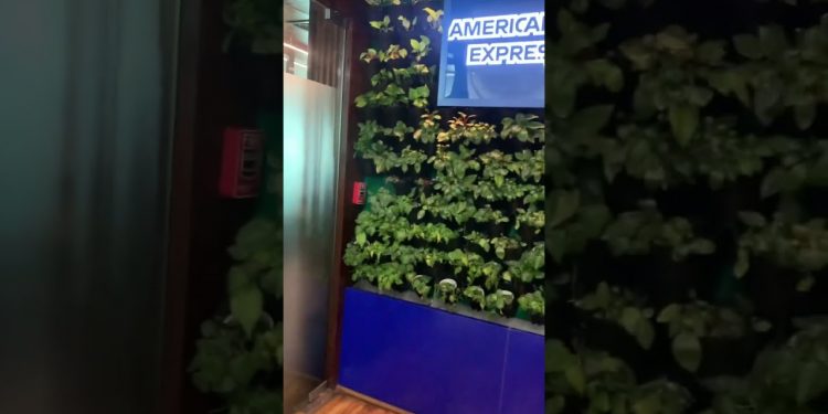American Express card is not welcomed in American express Lounge – IGI – T3