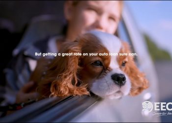 Great Rates on New Cars & Trucks at EECU