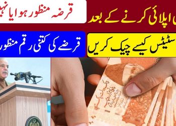 how to check pm youth business loan status online 2023 | check loan status | Nadra Verification
