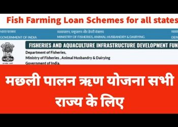 Fish Farming Business Loan Scheme For All States – Central Govt. India #Aquaculture #Loan #Subsidy