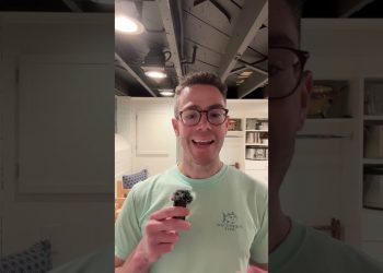 Your Credit Score is not as Important as you think for Auto Loans!