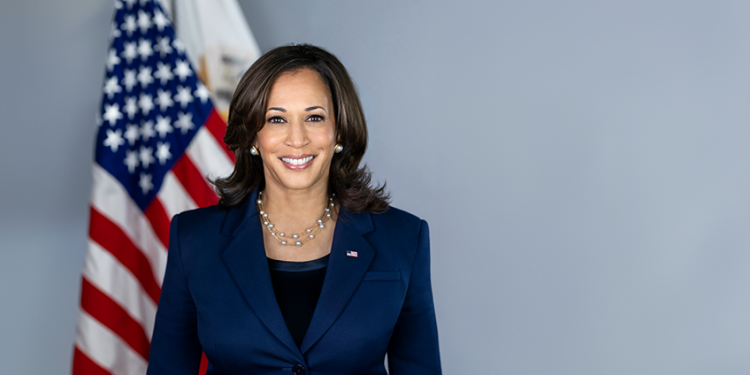 Election 2024: What a Harris Presidency Would Mean for Small Businesses