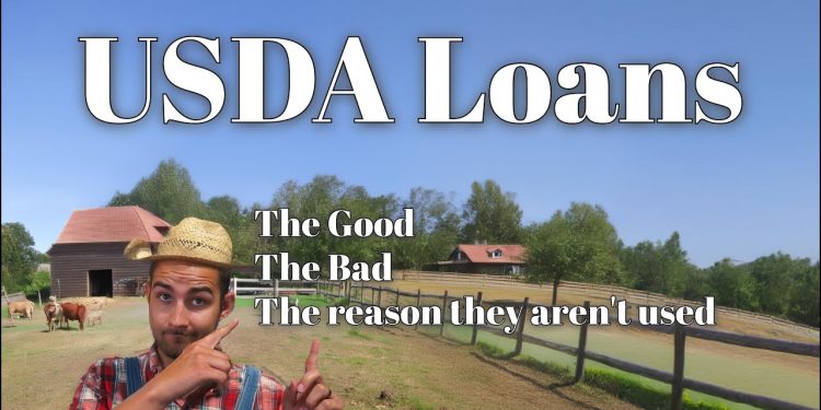 Why No One is Using USDA Loans: Explained