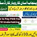 Asaan Karobar Card Apply Online With Proof | Maryam Nawaz Loan Scheme 2025| Karobar Card New Updates