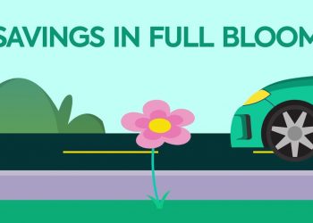 Low-Rate Auto Loans, Rain or Shine