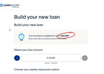$32,500 Business Loan, Low FICO & Revenue