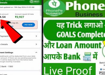 Phonepe Business Loan | Phonepe Business Loan Kaise Le New Process | phonepe loan app