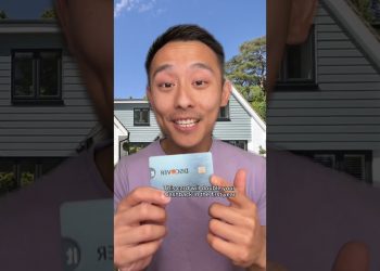 Top Beginner Credit Cards 2023